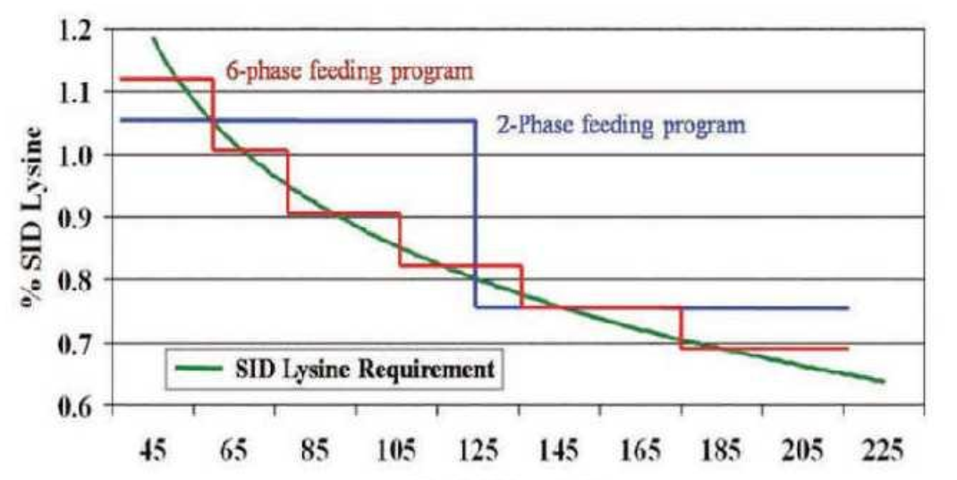 尊龙抖圈 - 为du而生