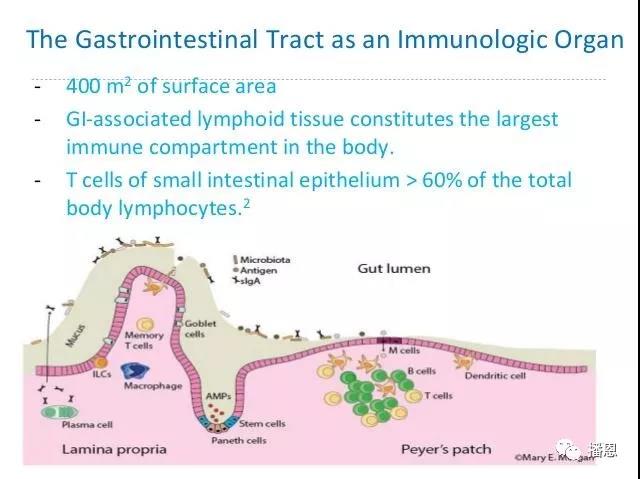 尊龙抖圈 - 为du而生