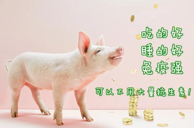 尊龙抖圈 - 为du而生