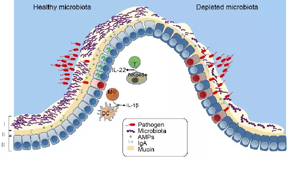 尊龙抖圈 - 为du而生