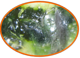 尊龙抖圈 - 为du而生