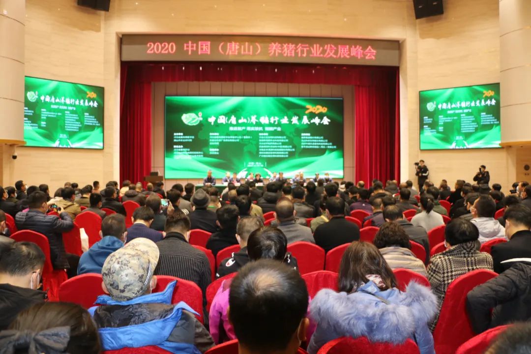 尊龙抖圈 - 为du而生