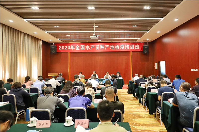 尊龙抖圈 - 为du而生