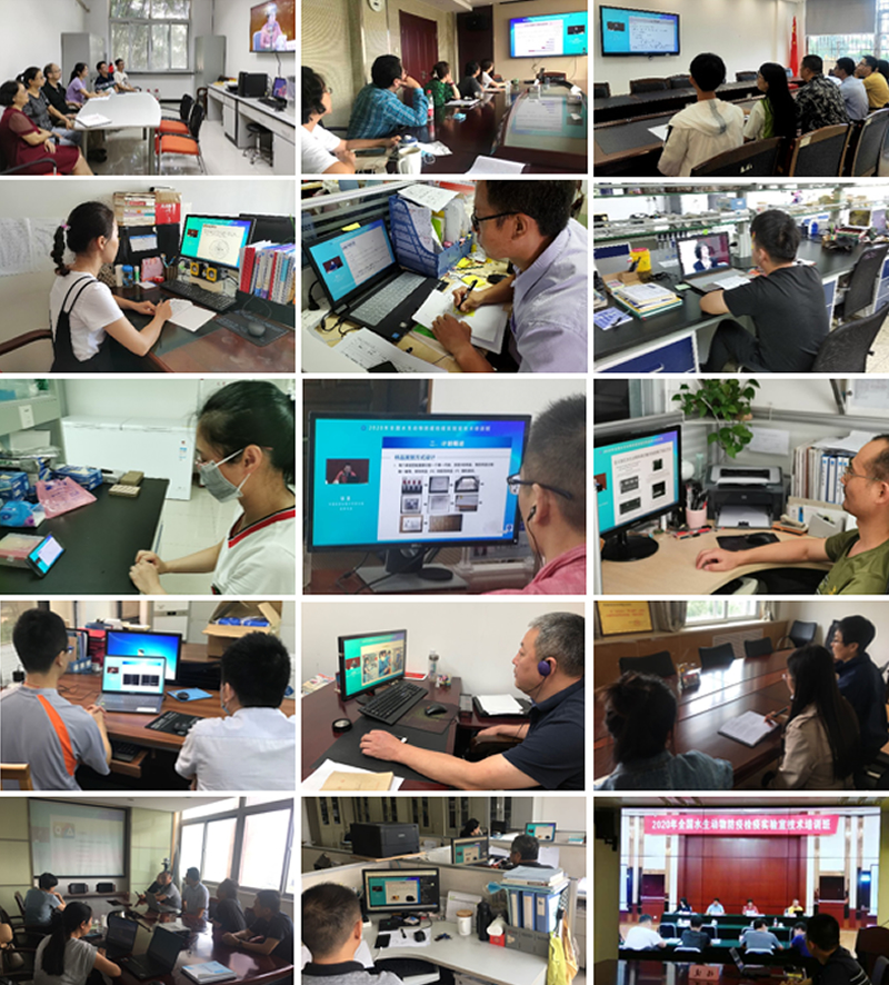 尊龙抖圈 - 为du而生