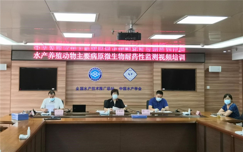 尊龙抖圈 - 为du而生