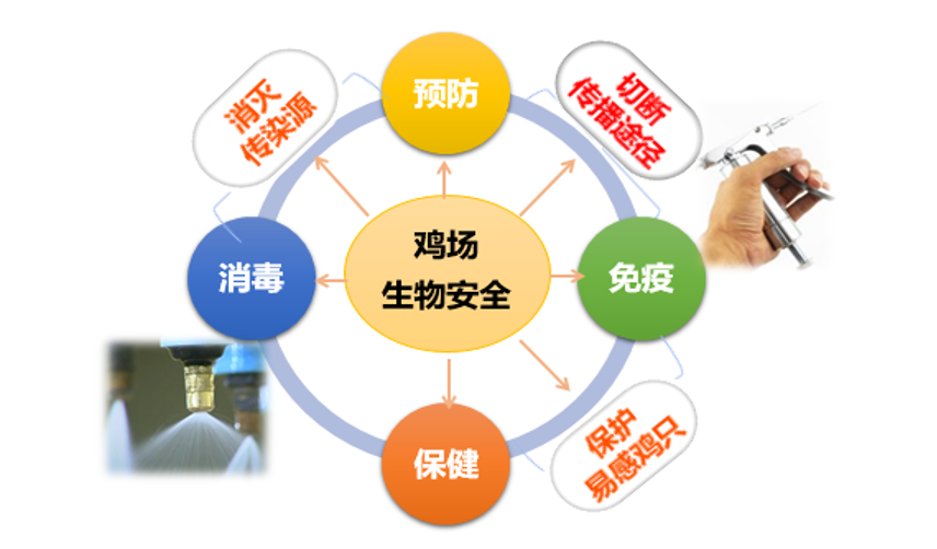 尊龙抖圈 - 为du而生