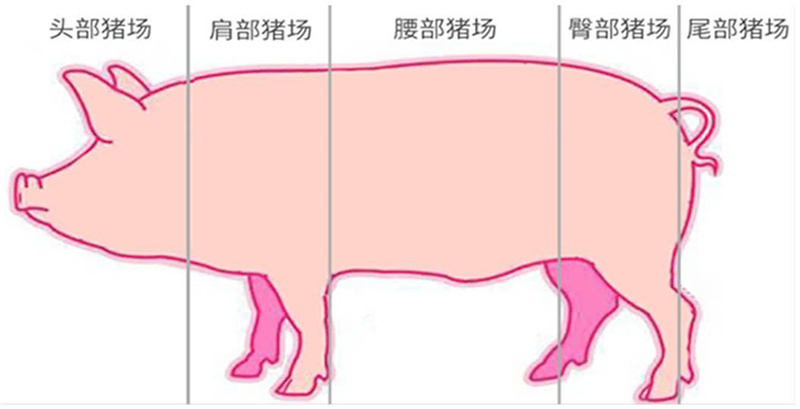 尊龙抖圈 - 为du而生