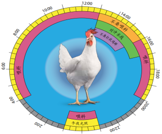 尊龙抖圈 - 为du而生