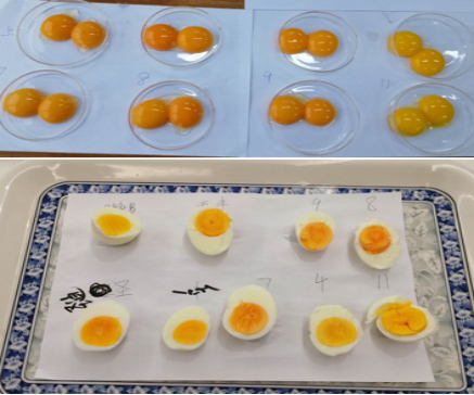 尊龙抖圈 - 为du而生