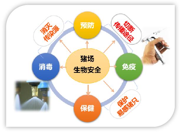 尊龙抖圈 - 为du而生